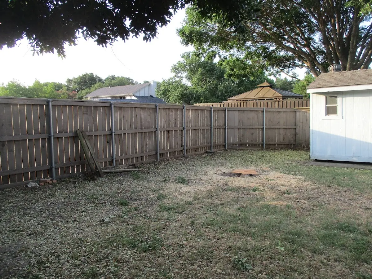Cleared yard after professional tree removal in Knippa